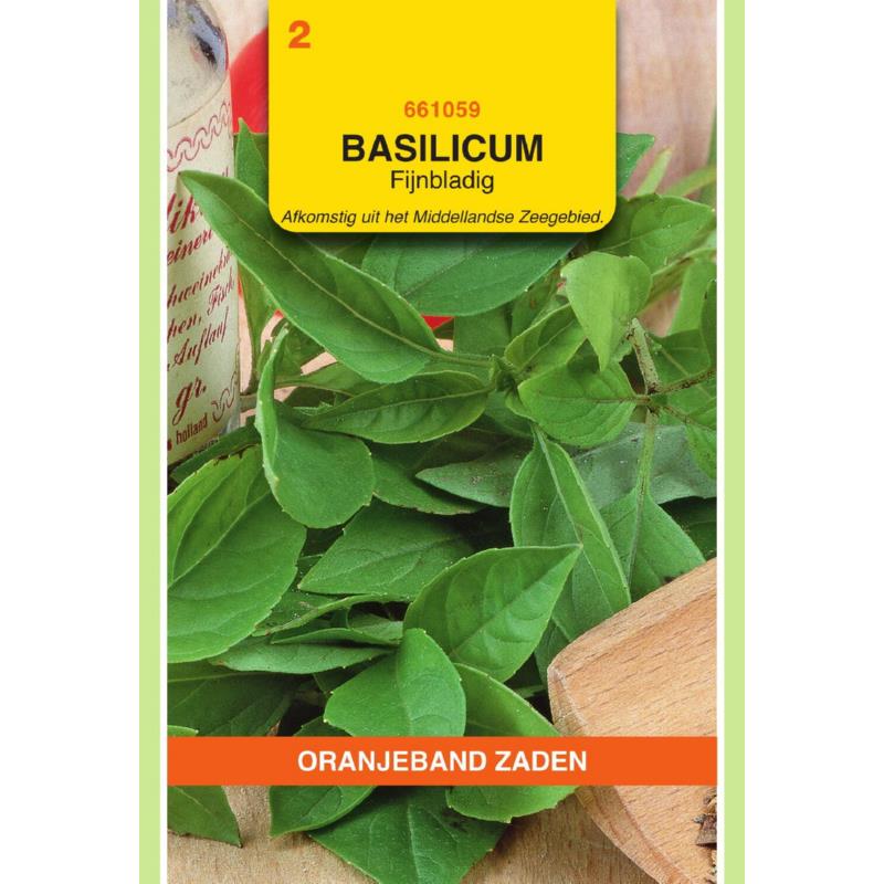 Basilicum Fijne