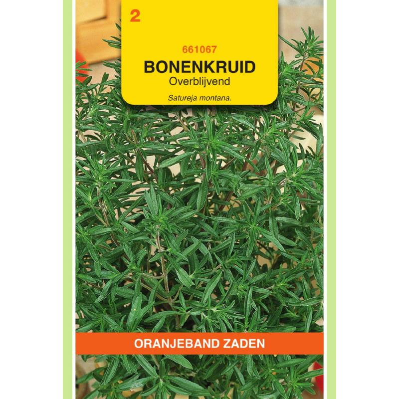 Bonenkruid, overblijvend