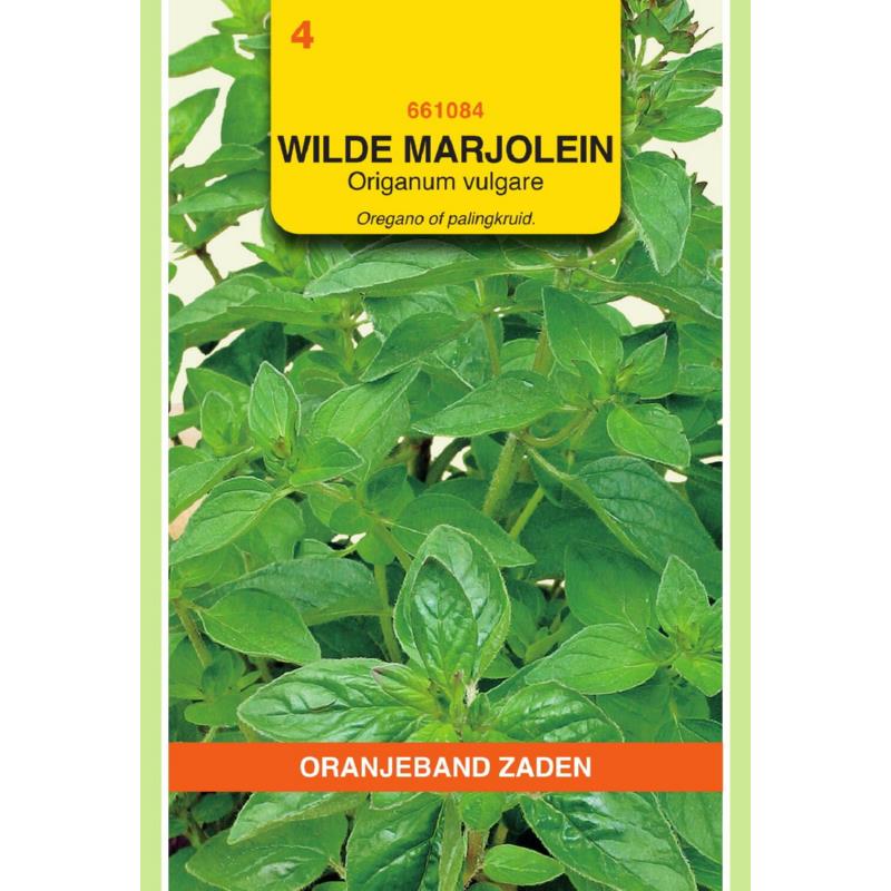 Wilde Marjolein, Oregano