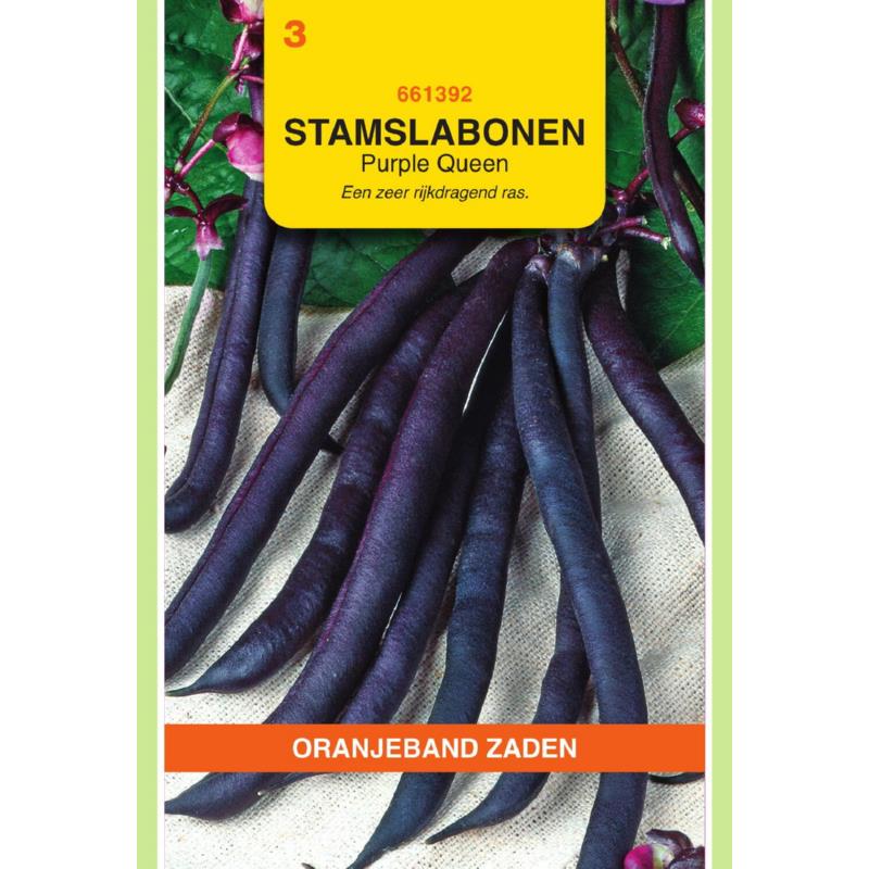 Stamslabonen, Purple Queen, 25gram