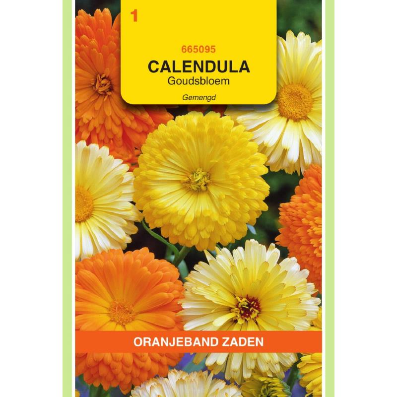 Calendula, Goudsbloem gemengd
