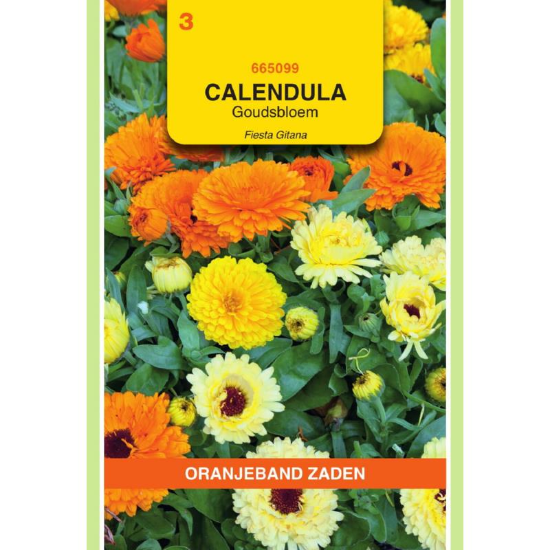 Calendula, Goudsbloem Fiesta Gitana