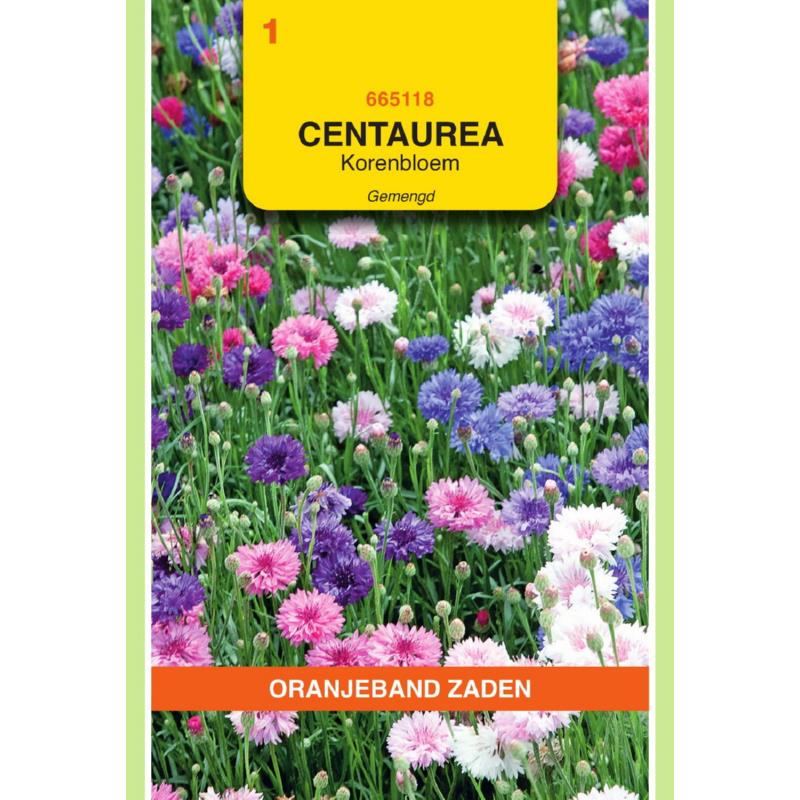 Centaurea, Korenbloem dubbelbloemig gemengd