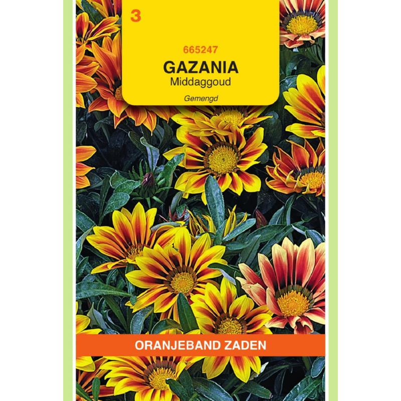 Gazania, Middaggoud gemengd