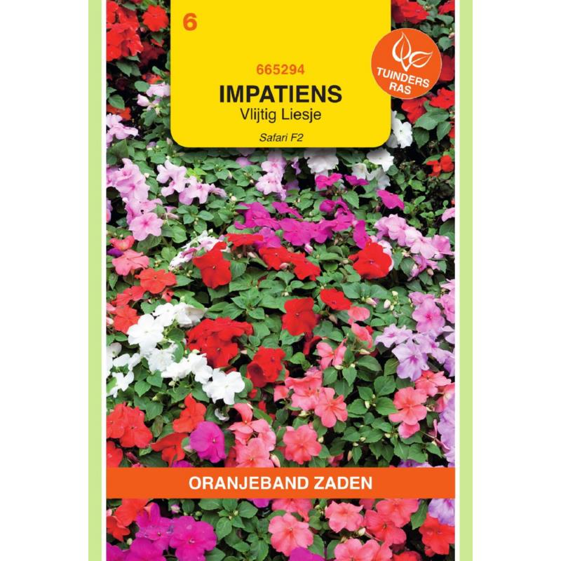 Impatiens, Vlijtig Liesje Safari F2 gemengd