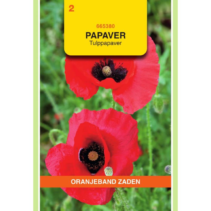 Papaver, Tulppapaver