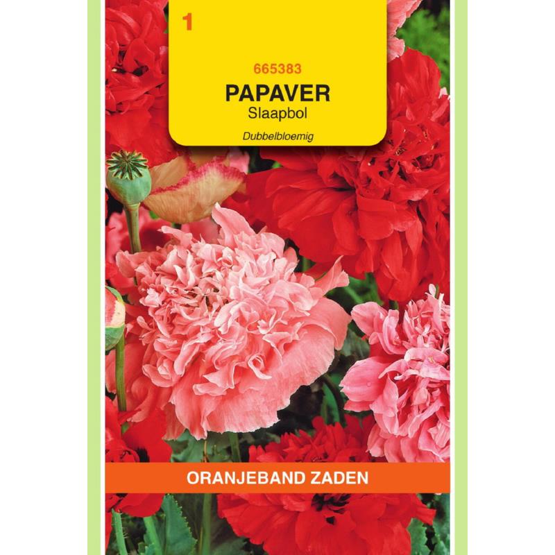 Papaver, Slaapbol dubbelbloemig gemengd