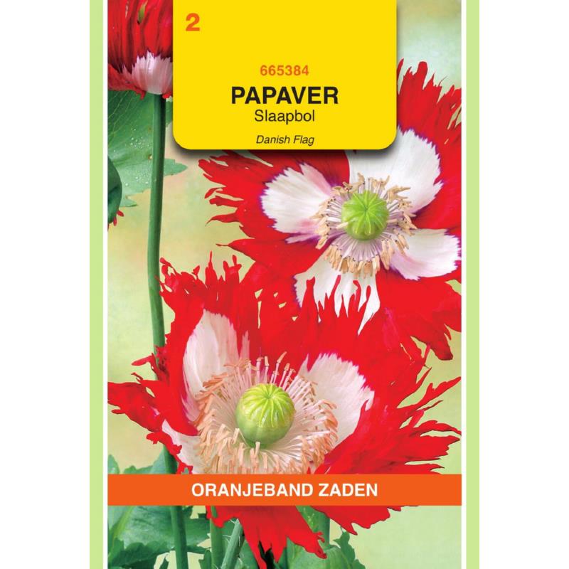 Papaver, Slaapbol Danish Flag