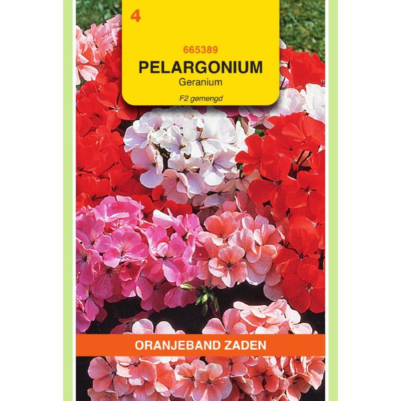 Pelargonium, Geranium F2 gemengd