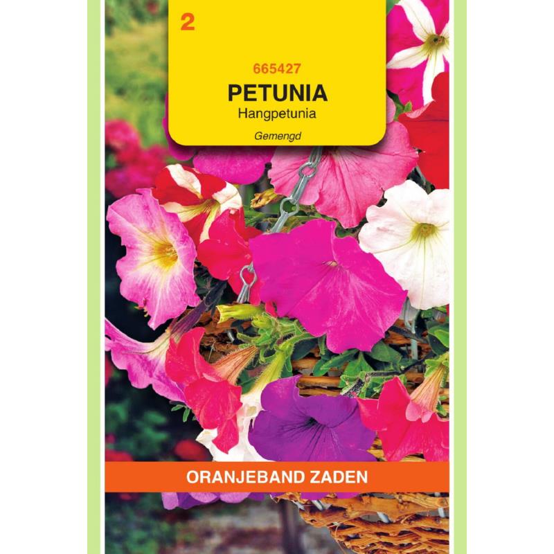 Petunia, Hangpetunia gemengd