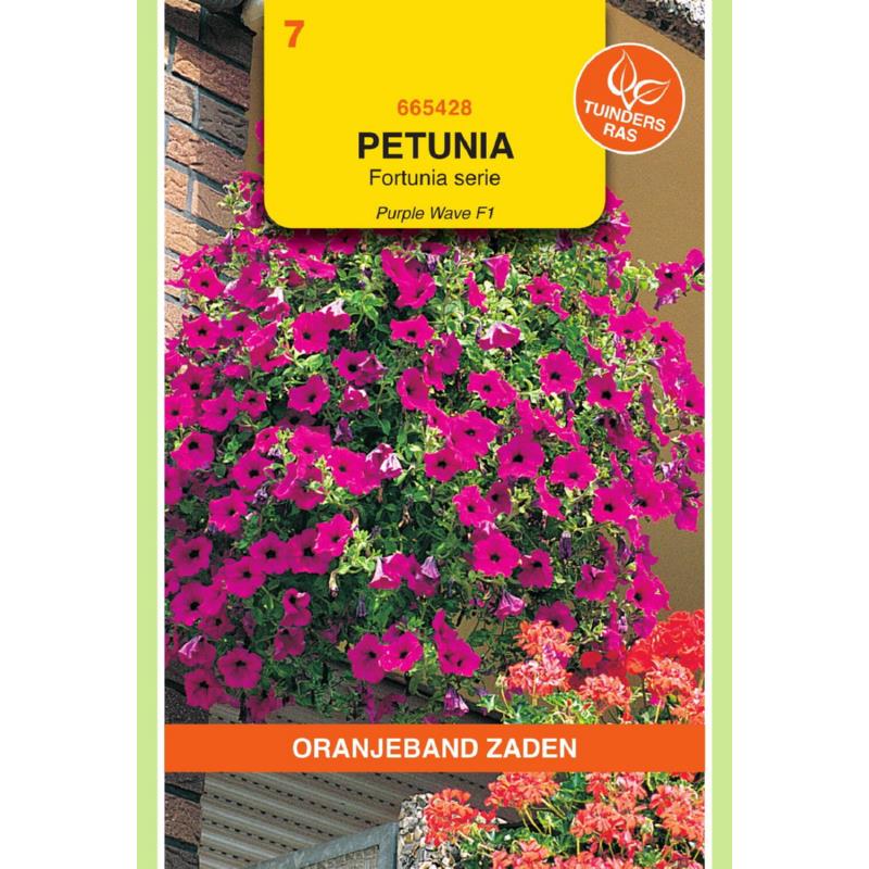 Petunia Purple Wave F1, Fortunia serie