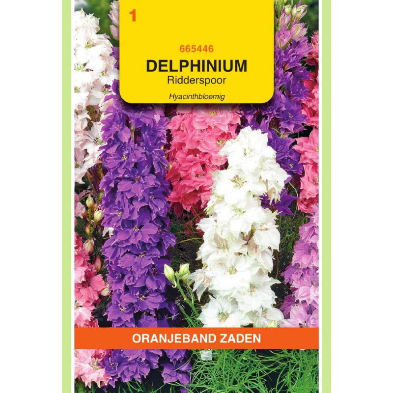 Delphinium, Ridderspoor Hyacinthbloemig gemengd