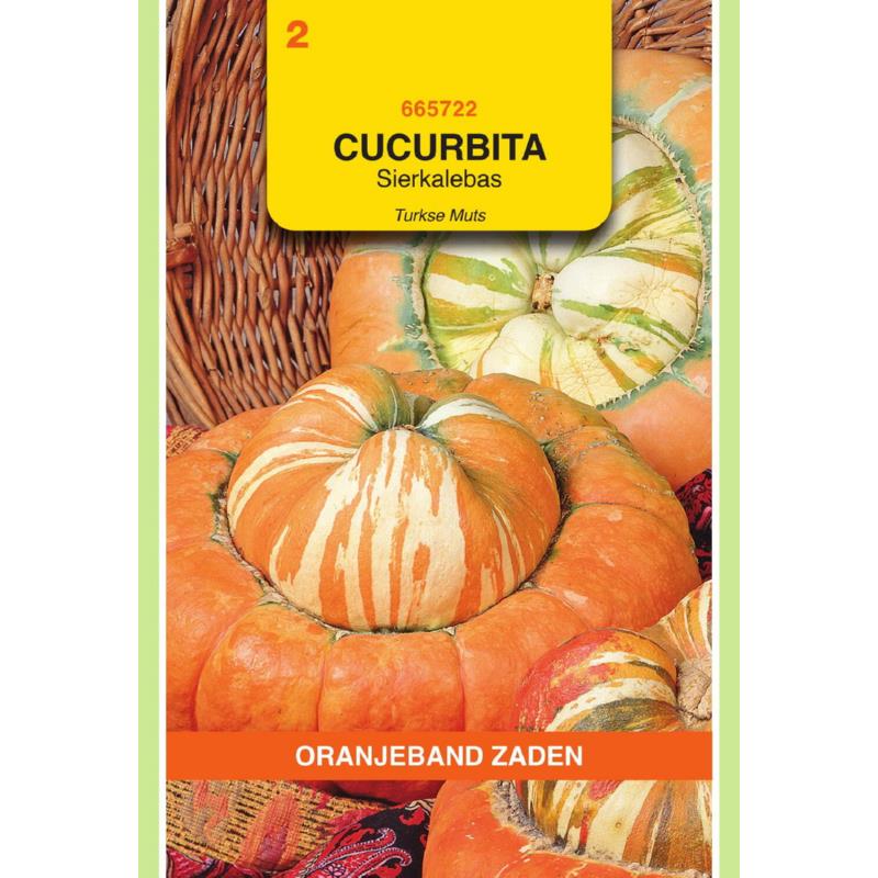 Cucurbita, Sierkalebas Turkse Muts