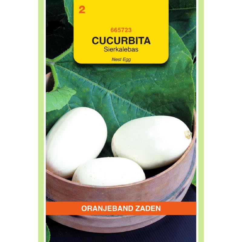 Cucurbita, Sierkalebas Nest Egg