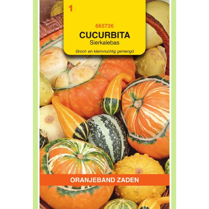 Cucurbita, Sierkalebas groot- en kleinvruchtig gemengd