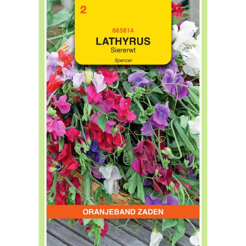 Lathyrus, Reuk- of siererwt Spencer gemengd