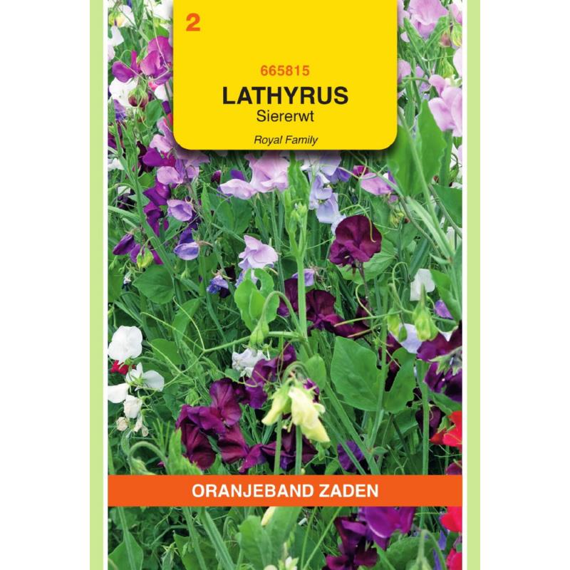 Lathyrus, Reuk- of siererwt Royal gemengd