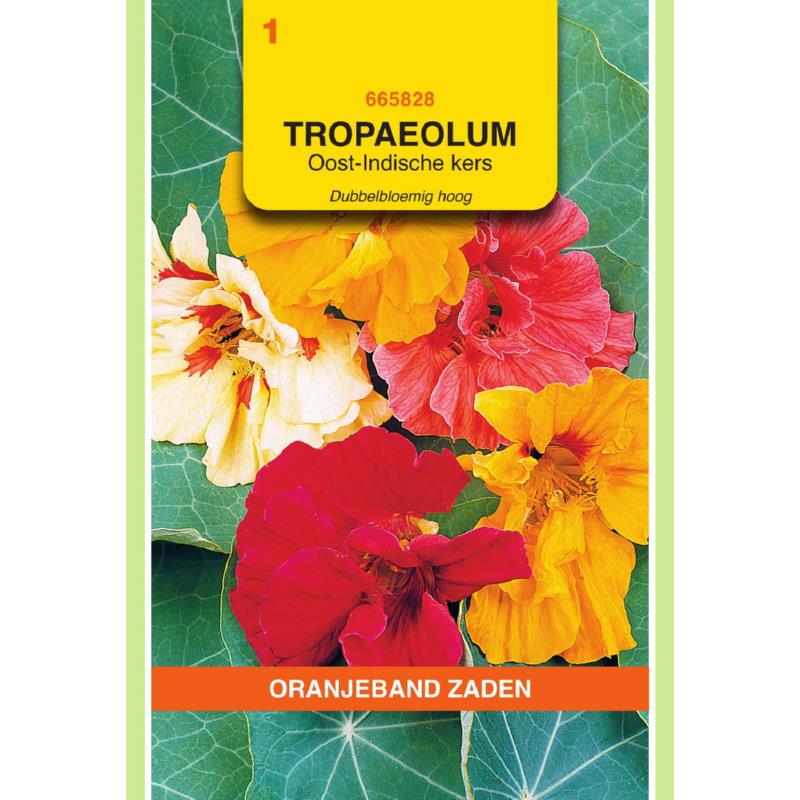 Tropaeolum, Oost-Indische kers dubbelbloemig hoog