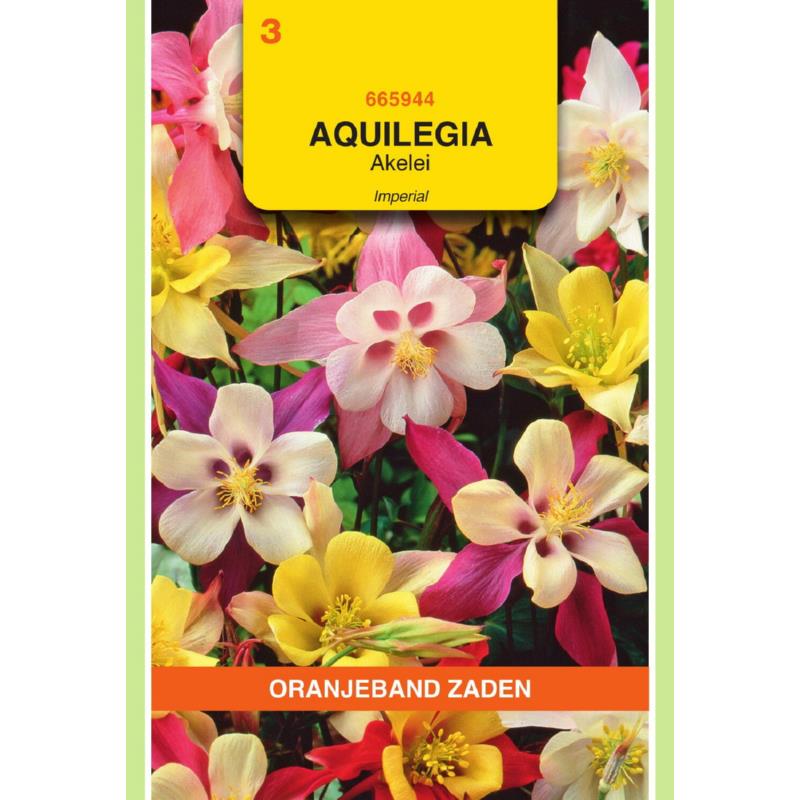 Aquilegia, Akelei Imperial gemengd