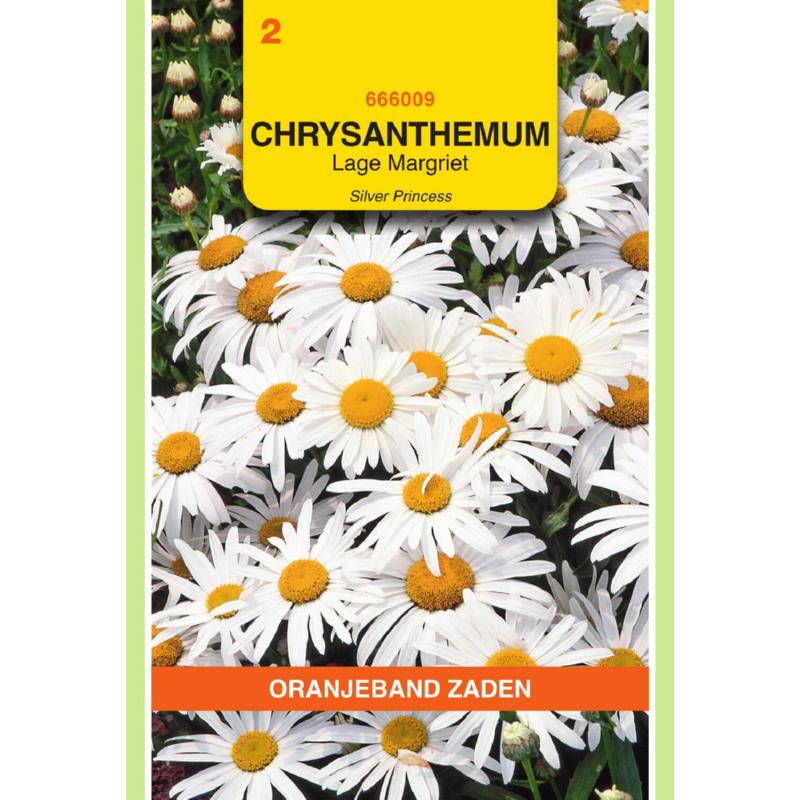 Chrysanthemum, Lage Margriet Silver Princess