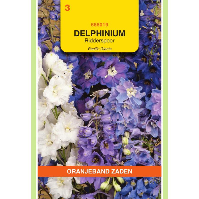 Delphinium, Ridderspoor Pacific Giants
