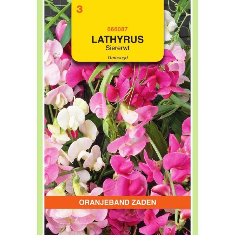 Lathyrus, Reuk- of Siererwt gemengd, overblijvend