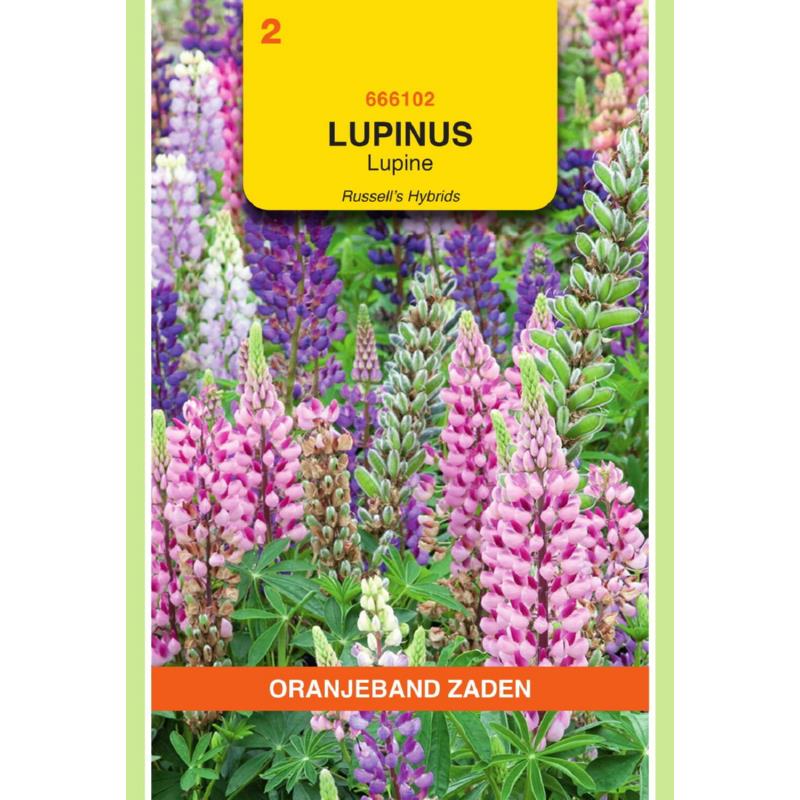 Lupinus, Lupine Russell's gemengd