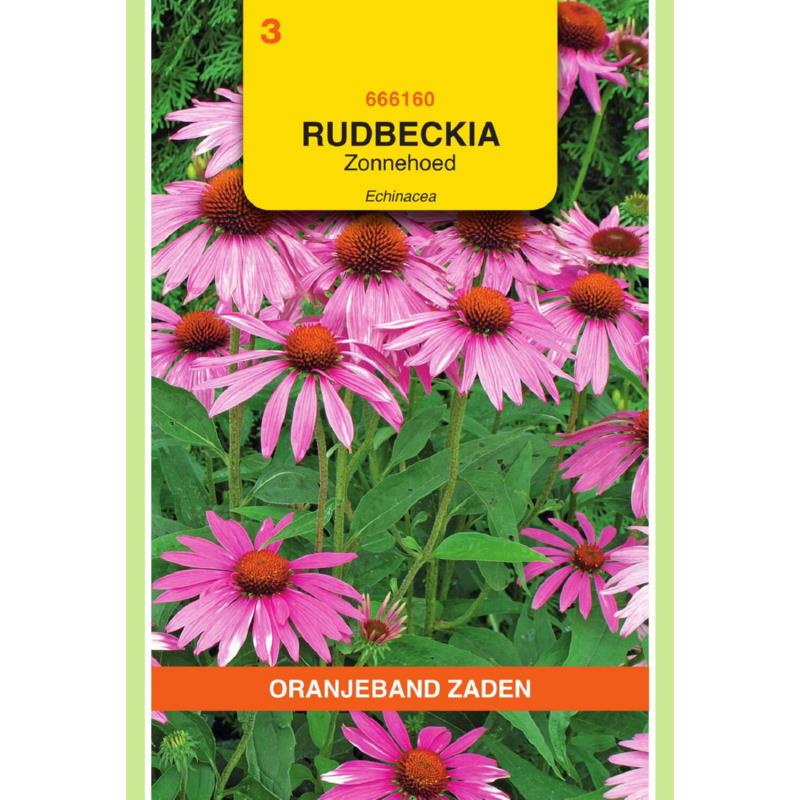 Rudbeckia, Zonnehoed Echinacea