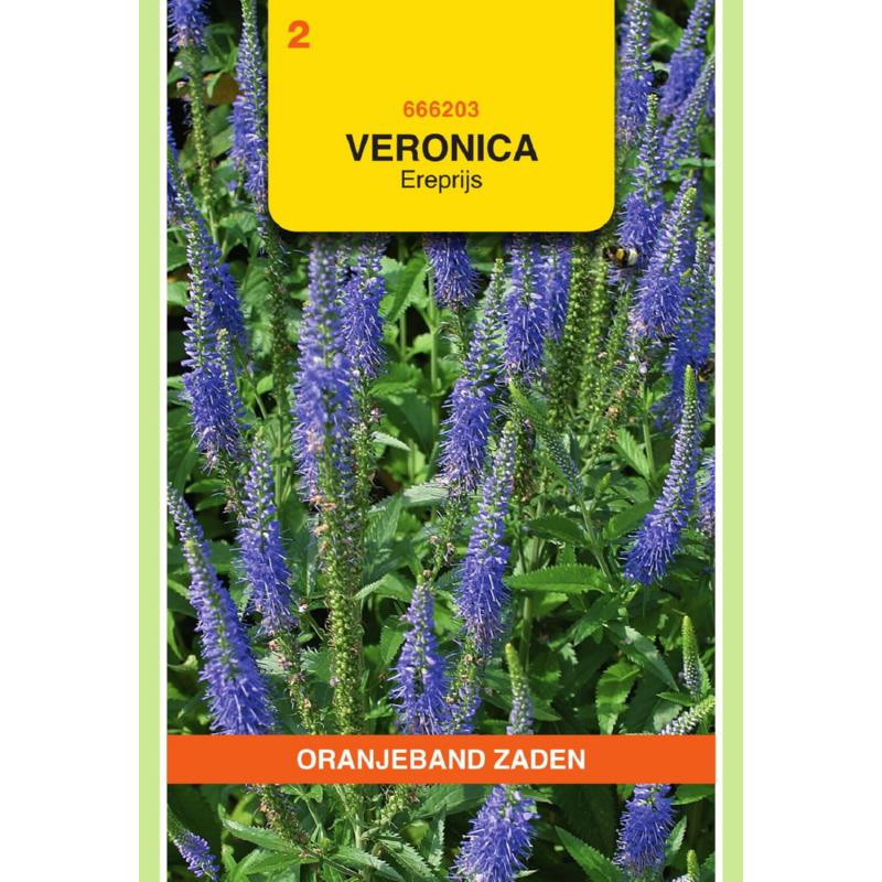 Veronica, Ereprijs, blauw