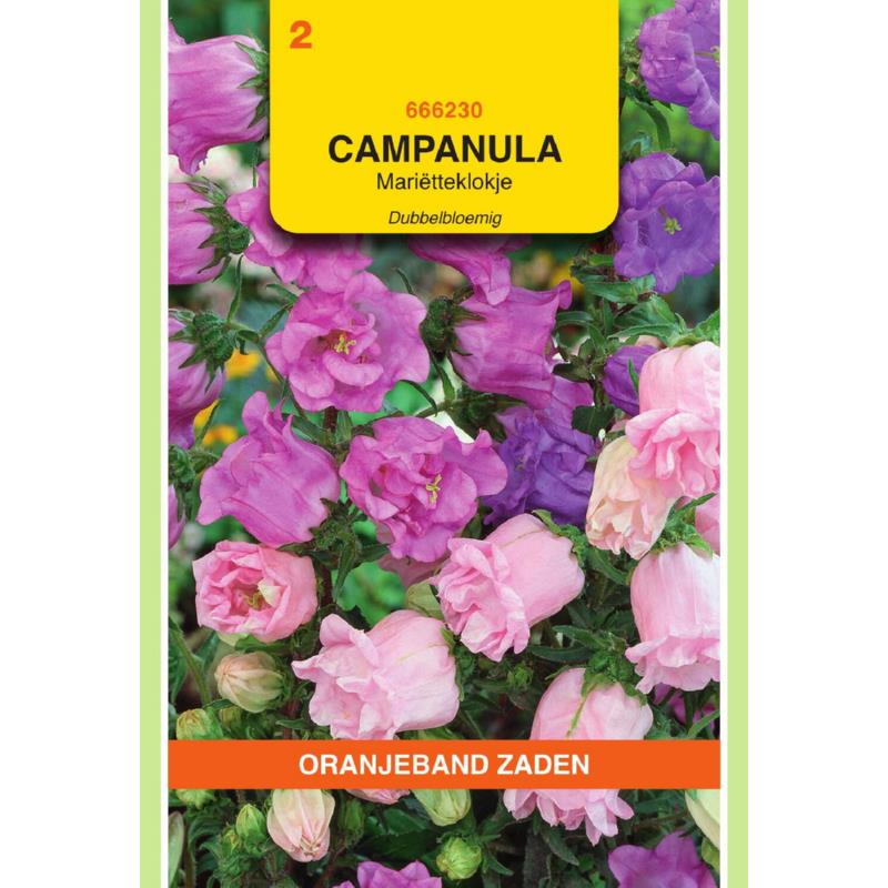 Campanula, Mariëtteklokje dubbelbloemig gemengd