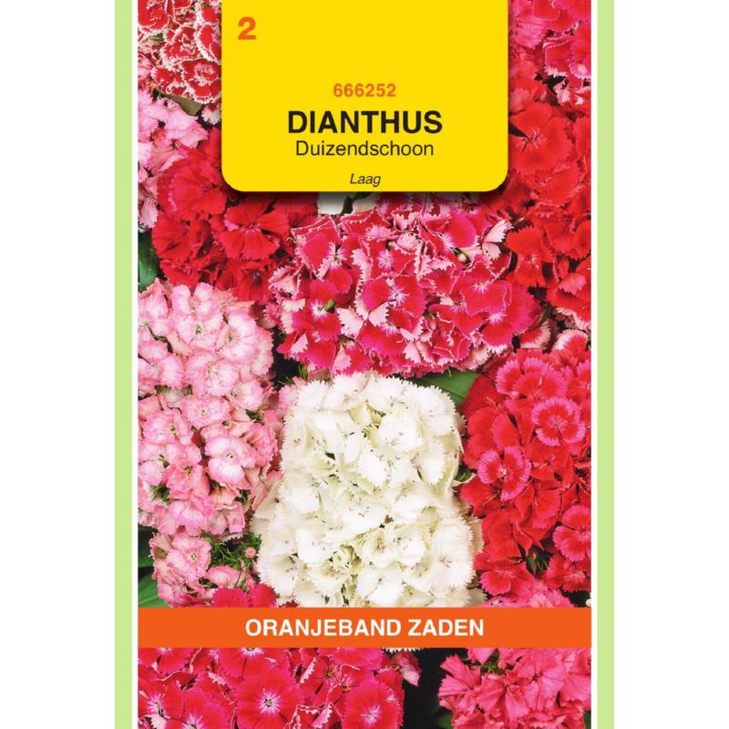 Dianthus, Duizendschoon gemengd laag