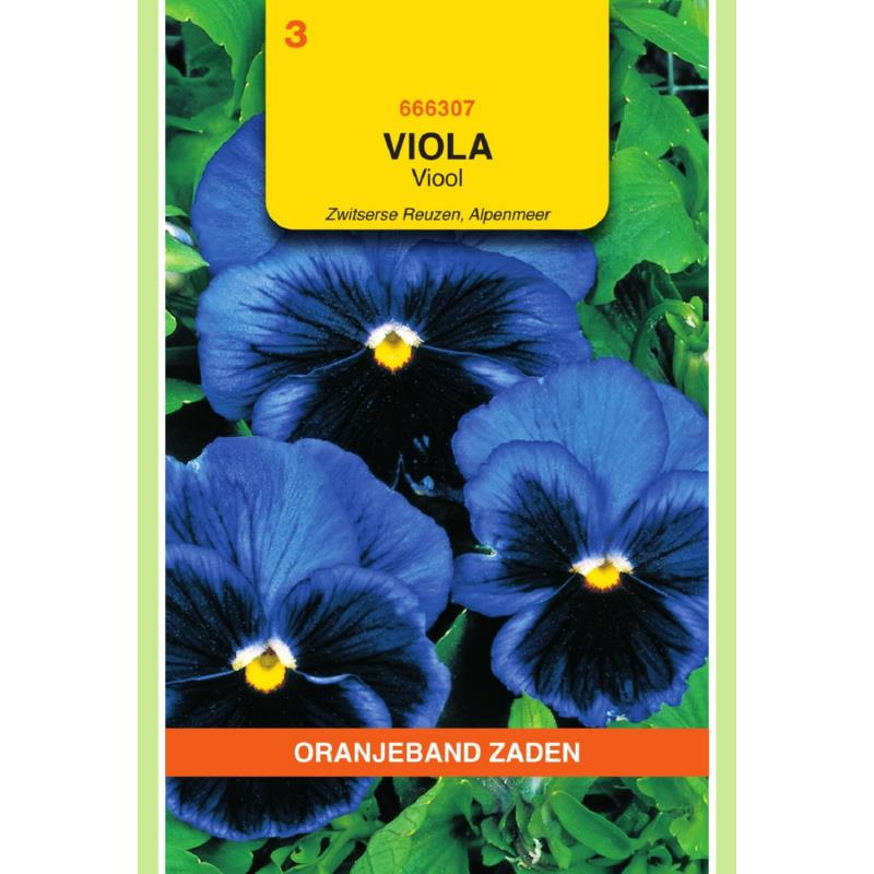 Viola, Viool Alpenmeer