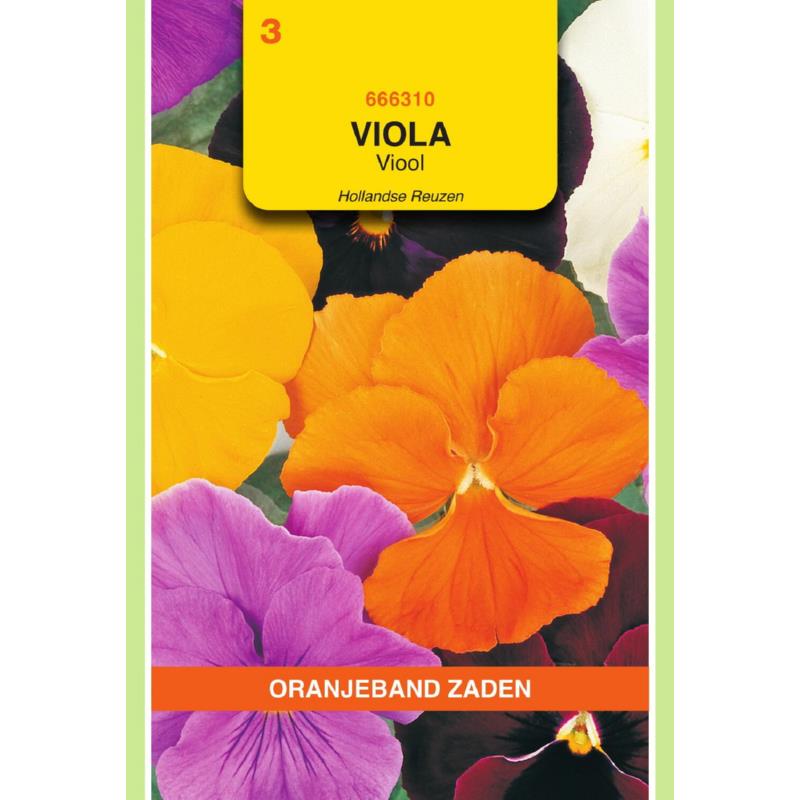 Viola, Viool Hollandse Reuzen gemengd