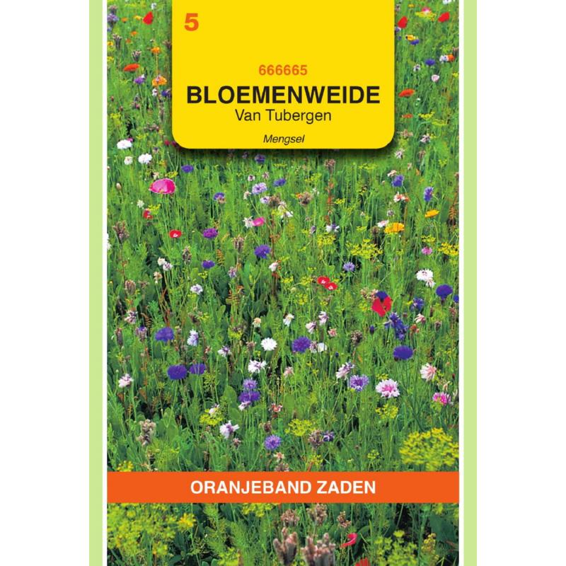 Bloemenweide, van Tubergen, 2,5M²