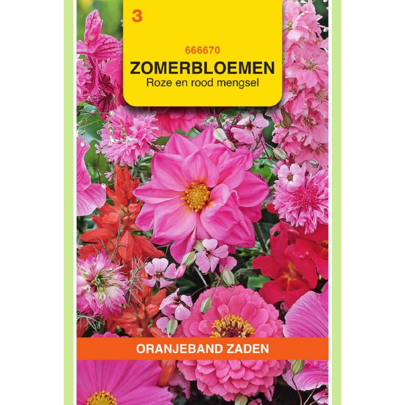 Zomerbloemen mengsel, roze/rood