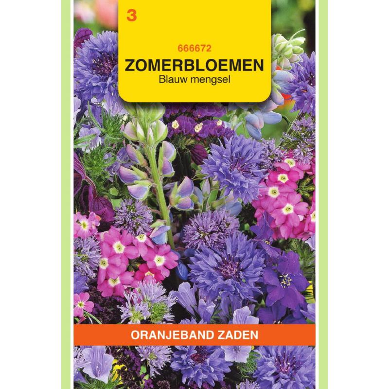 Zomerbloemen mengsel, blauw