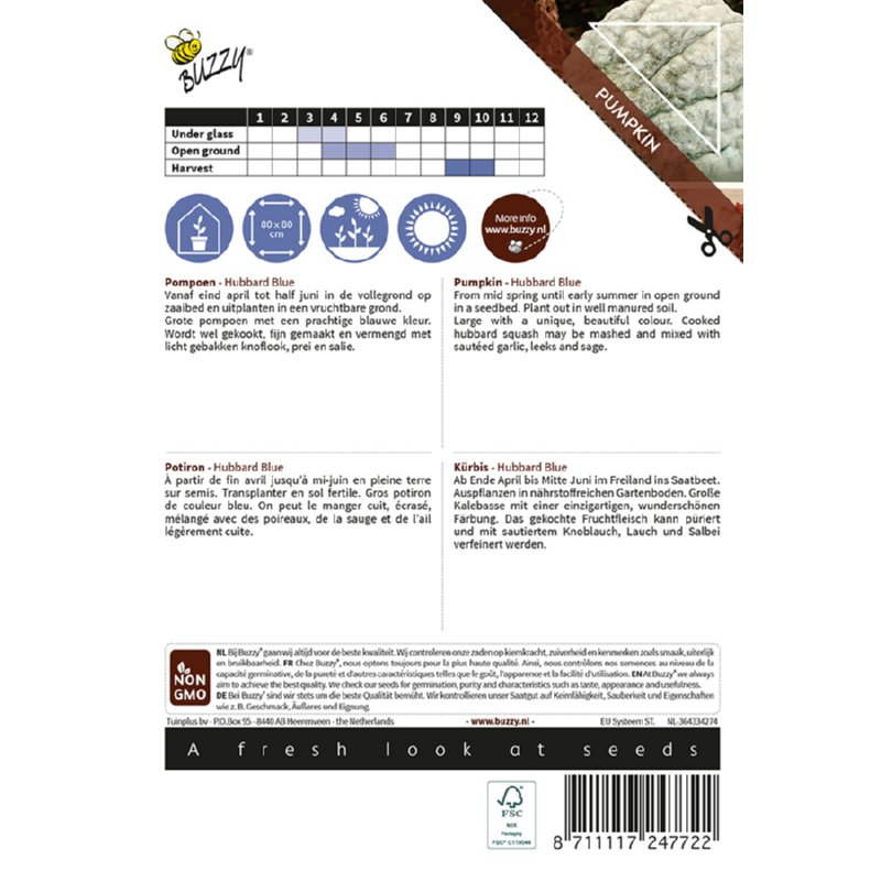 Ornamental Pompoen Hubbard Blue