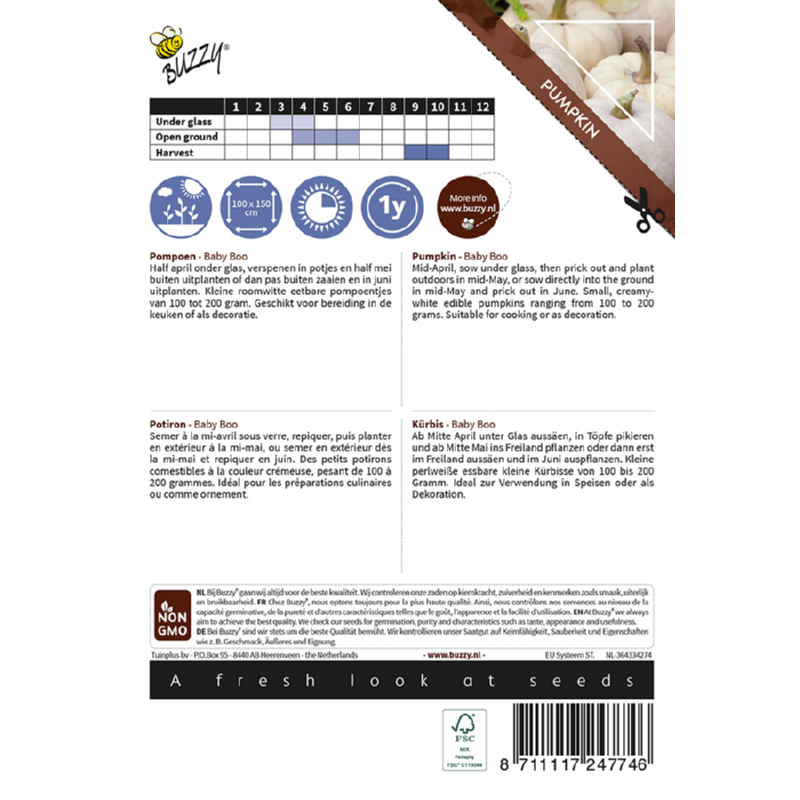 Ornamental Pompoen Baby Boo