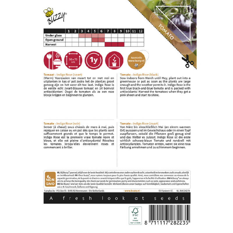 Pomodori Tomaat Indigo rose (zwart)