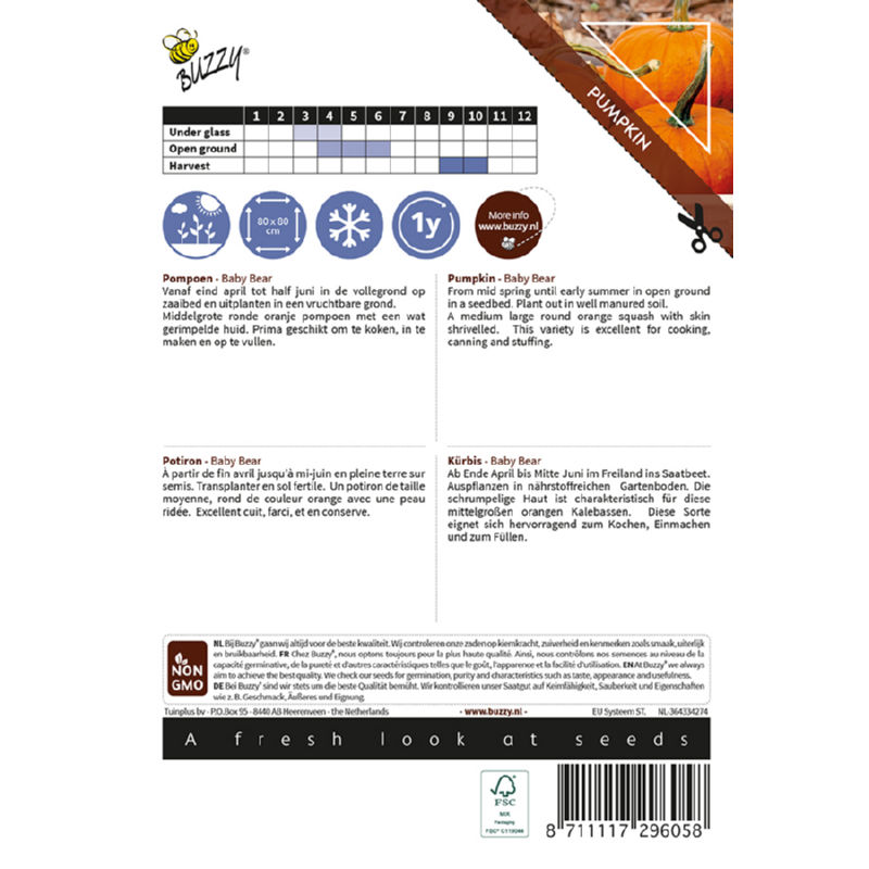 Ornamental Pompoen, Wintersquash Baby Bear