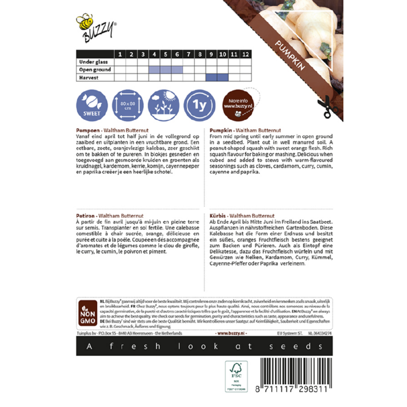 Ornamental Pompoen, Wintersquash Waltham Butternut