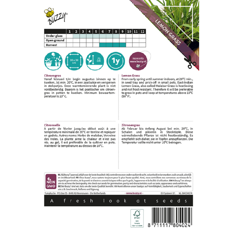 Xotica Citroengras