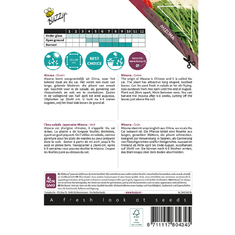 Xotica Mizuna, Japanse salade, groen