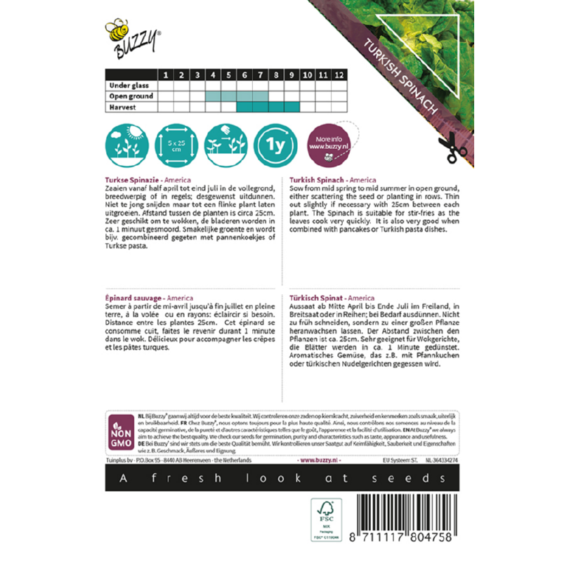 Xotica Turkse Spinazie (wilde), America