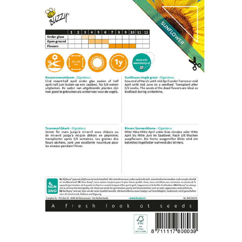 Sunny Helianthus, Reuzenzonnebloem Giganteus