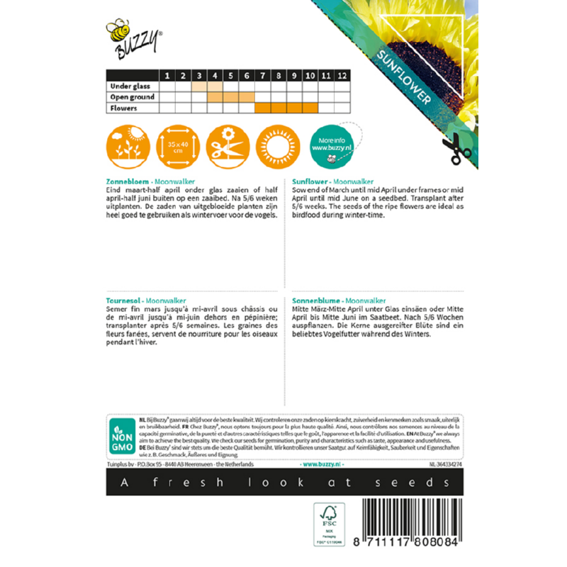 Sunny Helianthus, Zonnebloem Moonwalker