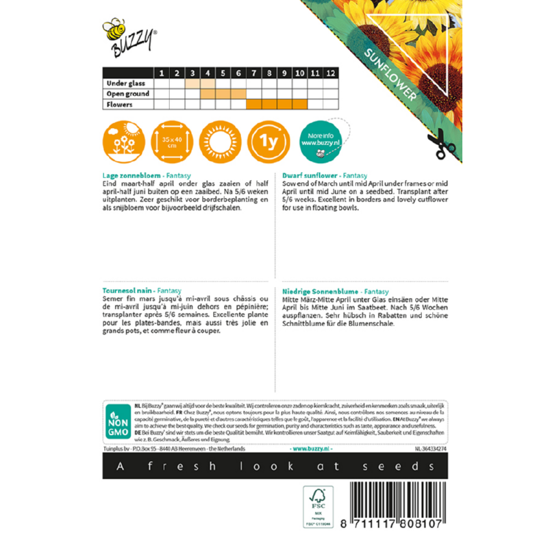 Sunny Helianthus, Zonnebloem Fantasy