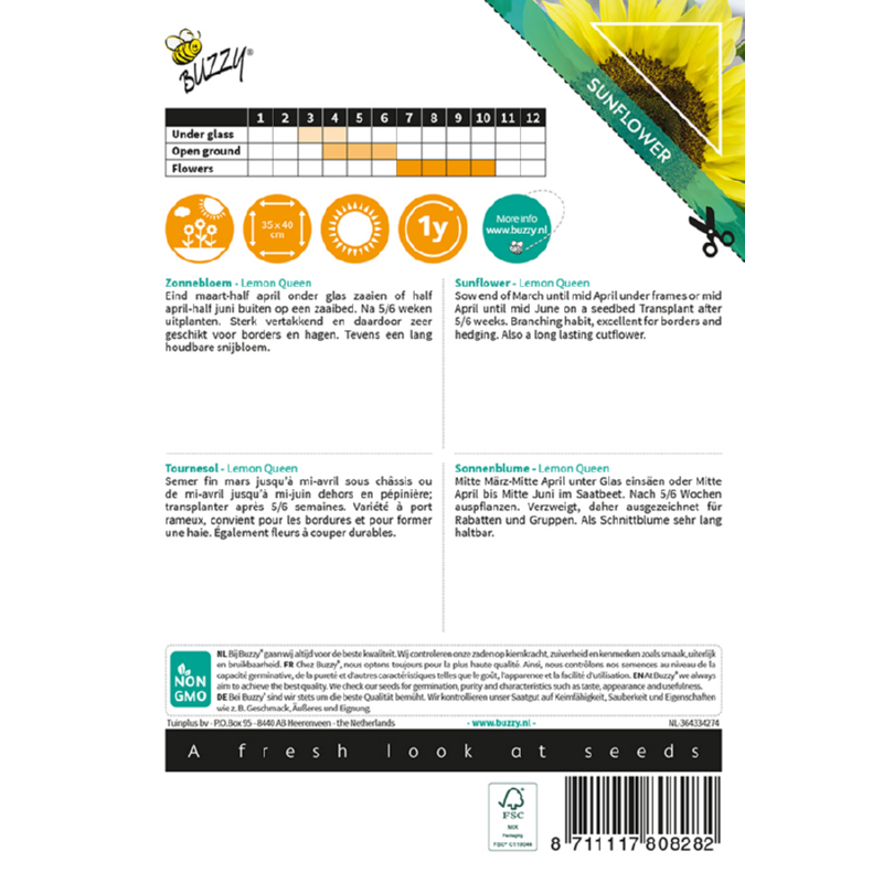 Sunny Helianthus, Zonnebloem Lemon Queen