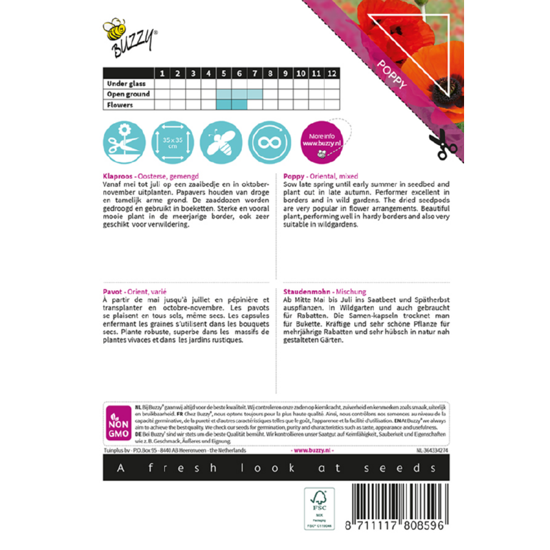 Poppy Orientaalse papaver/ Oosterse klaproos