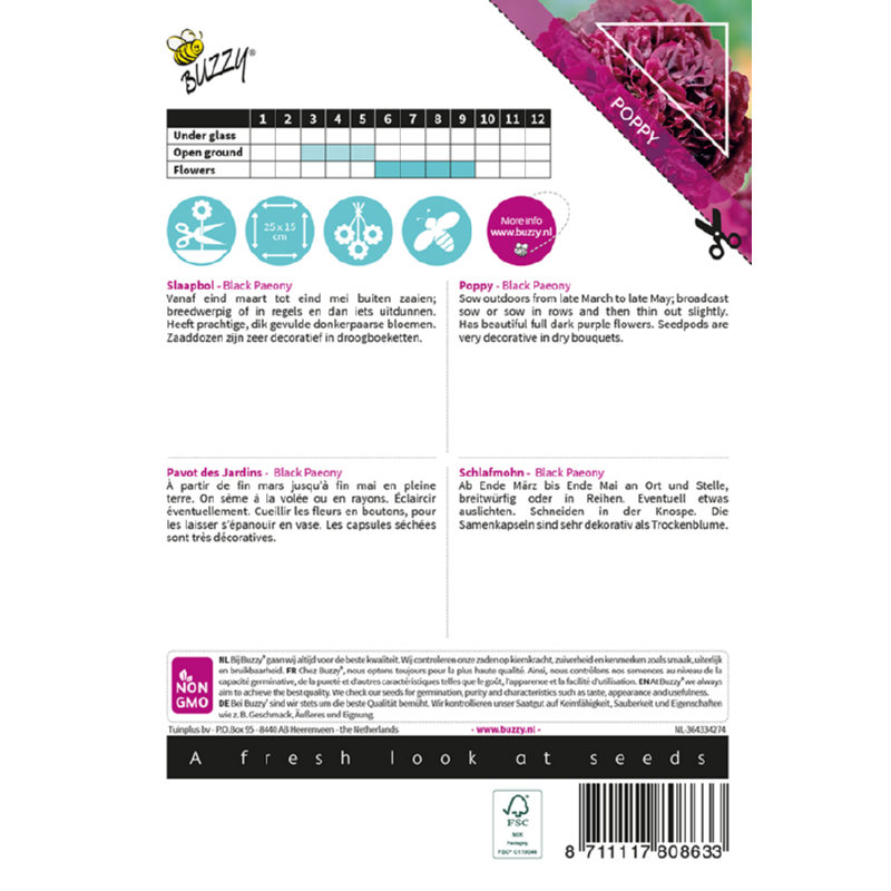 Poppy Papaver/Slaapbol Black Paeony
